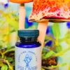 400mg MacroDose – 30 Vegan Capsules - Image 4